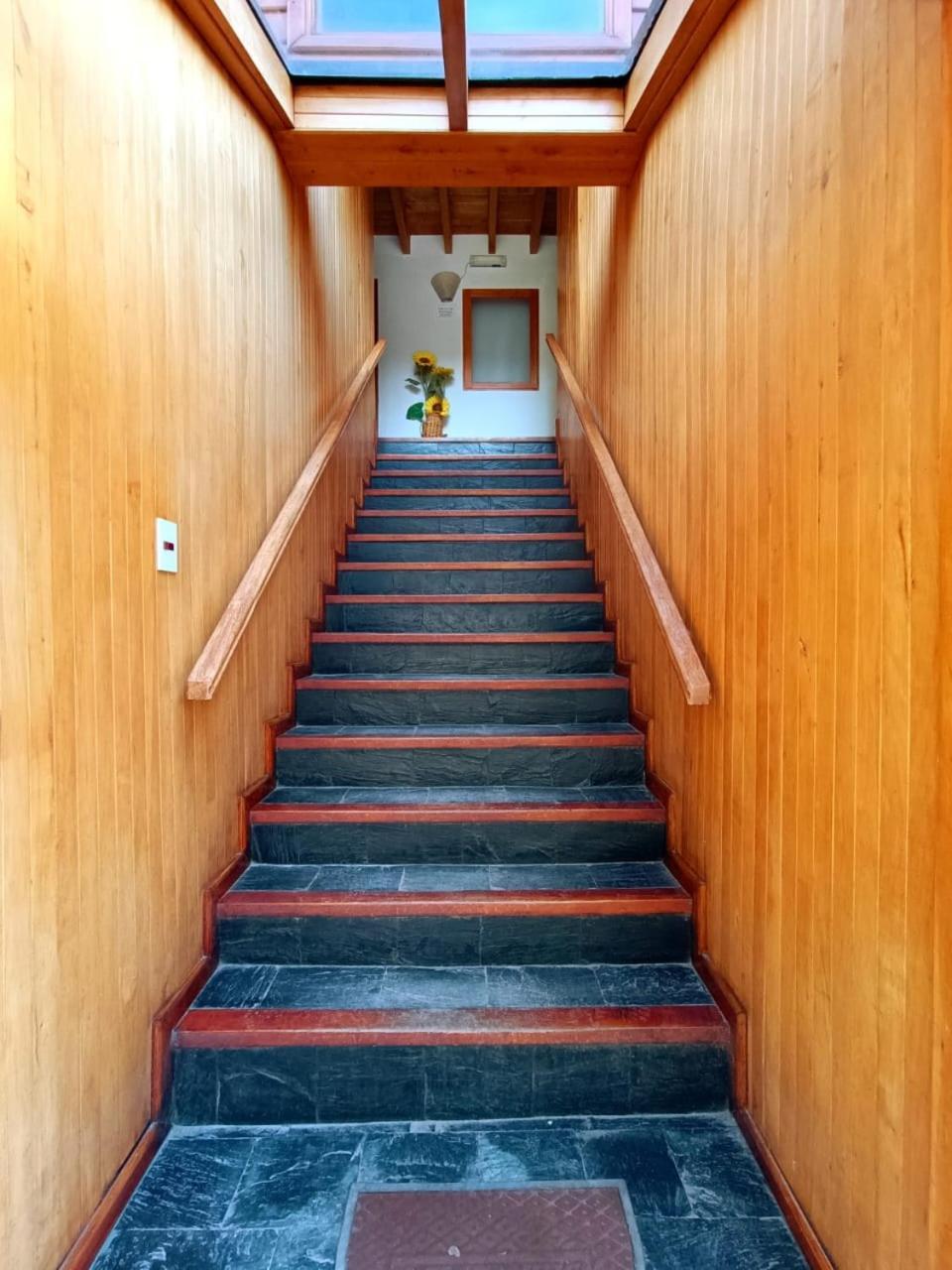 Apart Hotel Del Pellin San Martin de los Andes Exterior photo